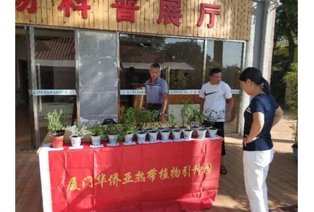 厦门华侨亚热带植物引种园积极开展2019年全国科普日植物科普宣传